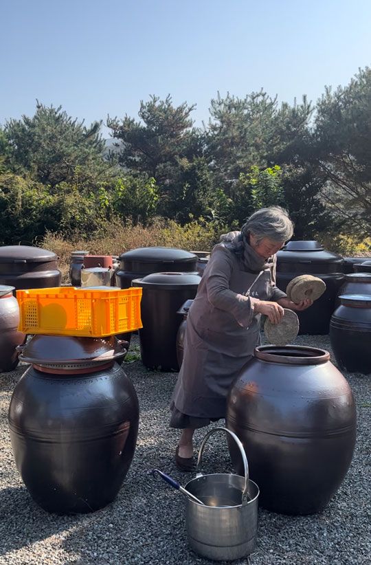 Kubonil Fermentation