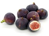 Fig 