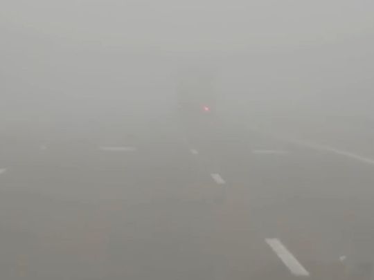 UAE weather fog