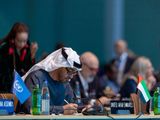 UAE President at COP29