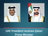 mbz-and-qatar-PM-1732035634311