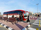 RTA_Public_Bus_(2)-1732618297625