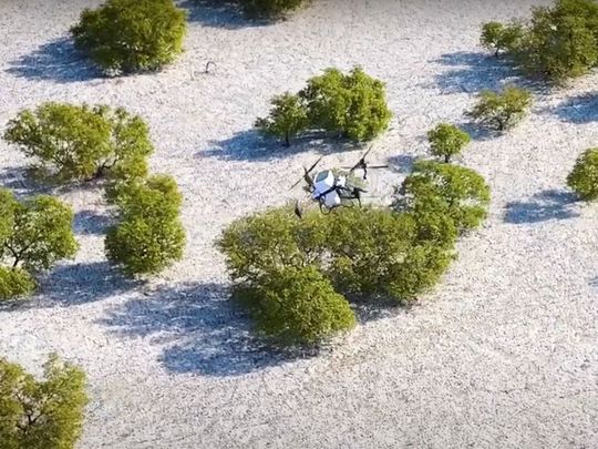 Nabat uses drones to minimise the impact on fragile ecosystems, making the restoration process more sustainable and precise.-1734239062139