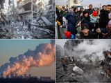 OPN Gaza war- Ukraine war- Refugee crisis- Climate Change 