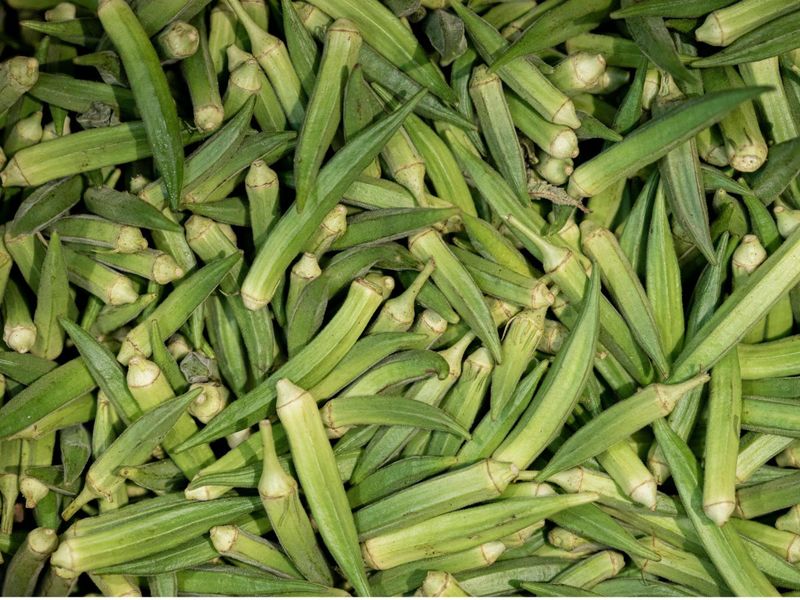 Okra 