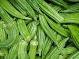 okra Abelmoschus esculentus L.