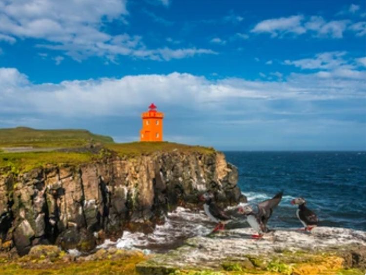 Exploring Grimsey island in Iceland