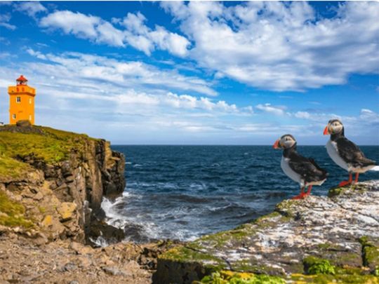 Exploring Grimsey island in Iceland