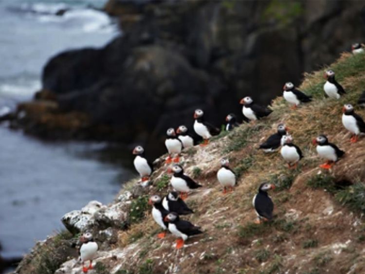 Exploring Grimsey