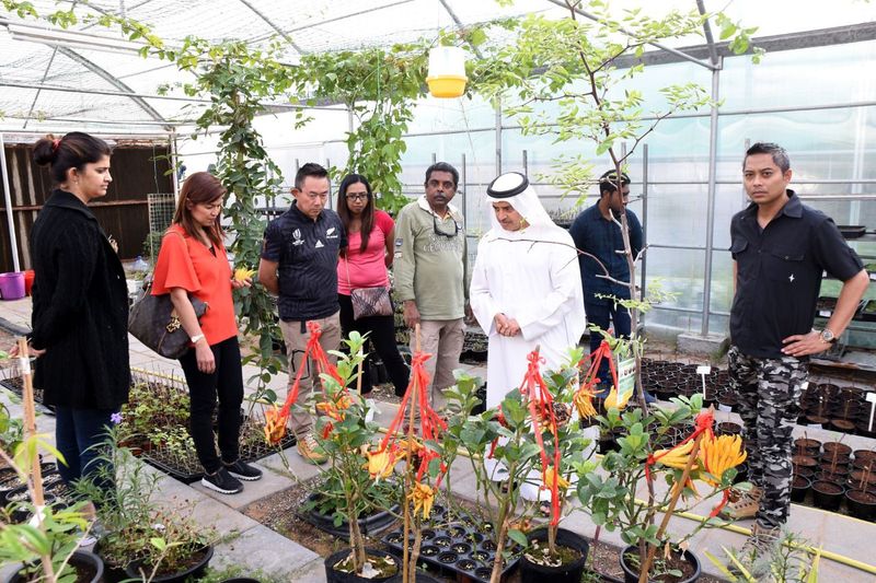 Fujairah's Cacao Farm12-1734626771320