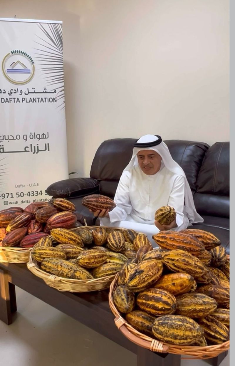 Fujairah's Cacao Farm1334-1734626773346