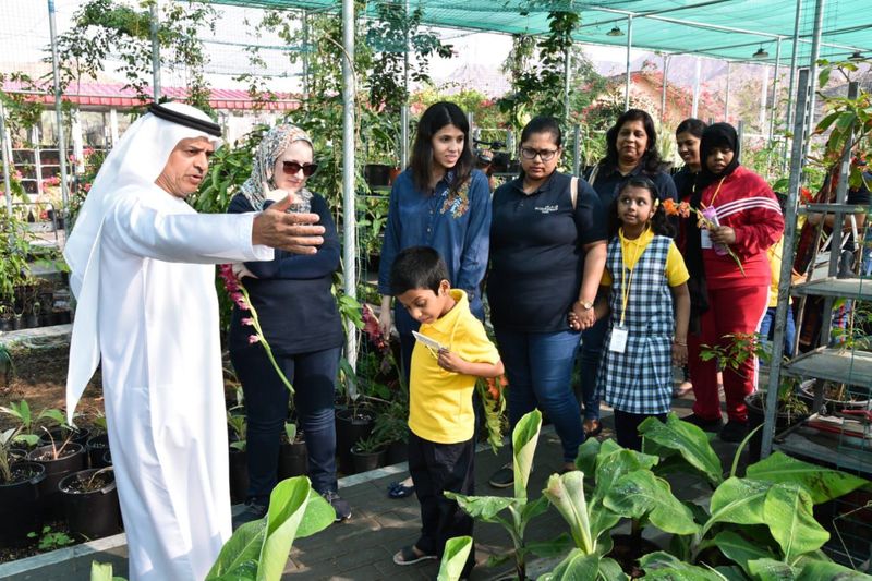 Fujairah's Cacao Farm1455-1734626781626