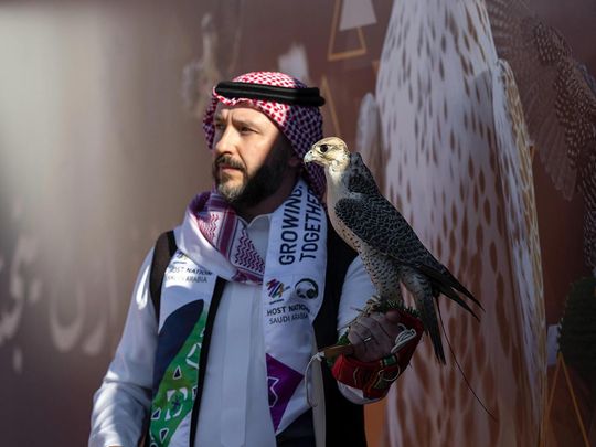 Saudi falconry festival