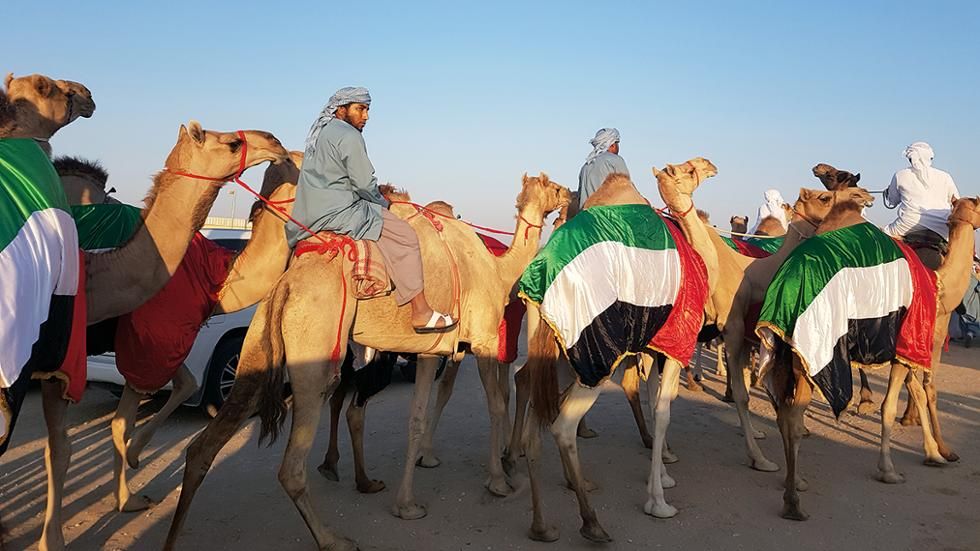 The Wearing Of the Green (and Gold): Camel's Nose, Meet Tent (Part