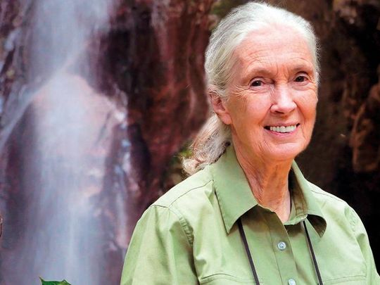 Going strong at 84, Jane Goodall is on a mission in the Middle East ...